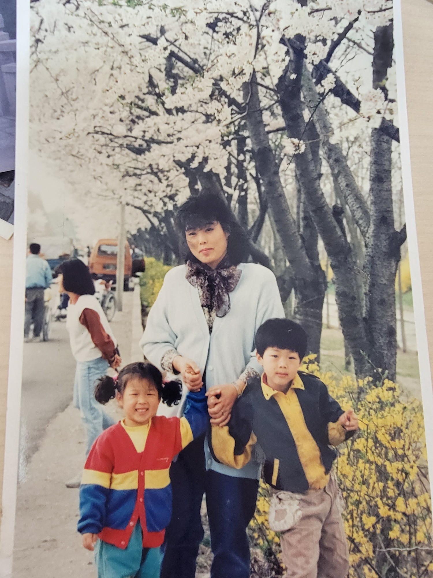 벛꽃나들이