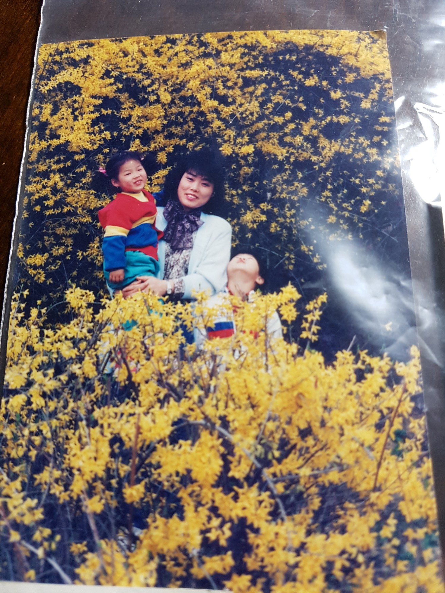 개나리 꽃밭에서 유리와 교철이